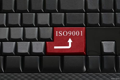 為何這些企業(yè)無需進行ISO 9001認證？